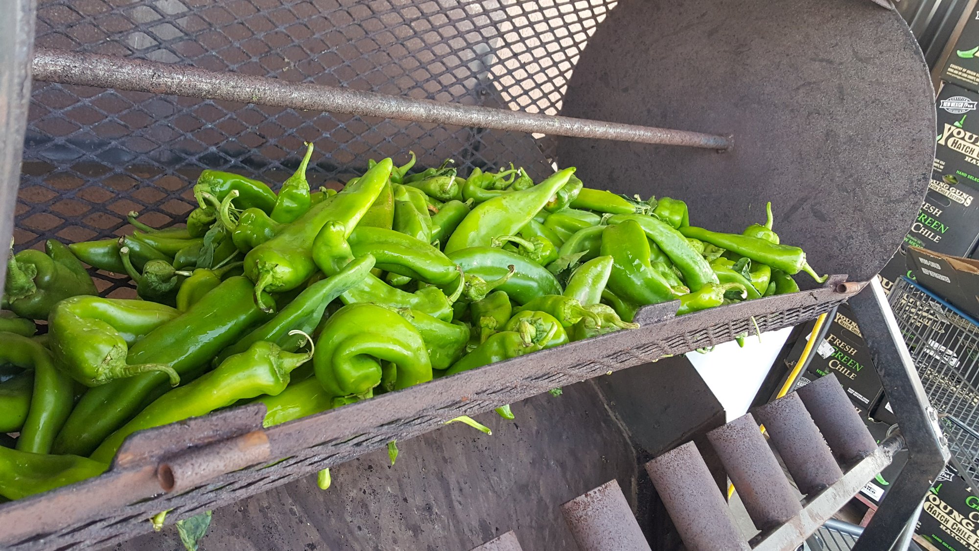 Hatch Chile Fest2